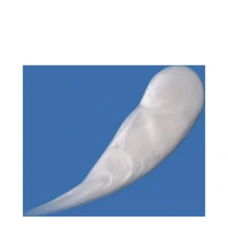 DCL Dermatologic Alpha Beta Gel Exfoliant 3 DCL Dermatologic Alpha Beta Gel Exfoliant - Image 3